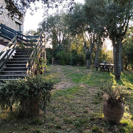 Casa De Camp Prop De La Costa Brava Villa Romanya de la Selva Ngoại thất bức ảnh