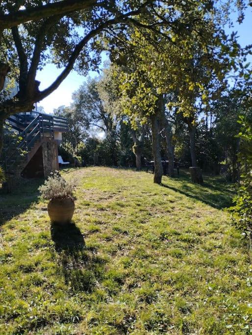 Casa De Camp Prop De La Costa Brava Villa Romanya de la Selva Ngoại thất bức ảnh